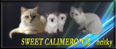 Sweet Calimero